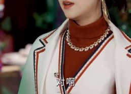 短剧《隐婚蜜爱夫人又去约会了（100集）》短剧全集免费直看