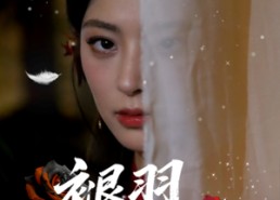 短剧《褪羽时分（61集）》短剧完整版免费在线赏