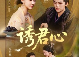 短剧《诱君心（61集）》短剧热剧免费在线观