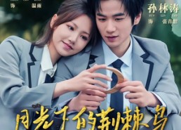 短剧《月光下的荆棘鸟（80集）》超火短剧免费全集在线赏