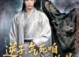 短剧《逆子，气死咱皇位也不给你（69集）》热门短剧全集免费放送