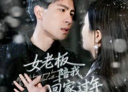 短剧《女老板陪我回家过年（40集）》超火短剧免费全集速看