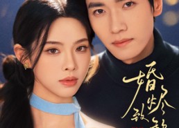 短剧《婚烬致黎明（77集）》超火短剧免费全集畅享