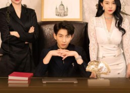 短剧《再世无双（66集）》高分短剧免费全集享