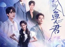 短剧《我的人鱼夫君（90集）》超火短剧全集免费看