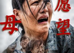 短剧《认祖归宗（32集）》热门短剧全集免费直看