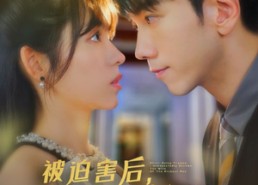 短剧《被迫害后，我竟然成了大佬夫人（60集）》爆款短剧免费全集览