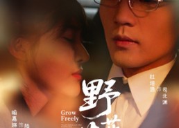 短剧《野芳菲（60集）》短剧无删减全集在线赏