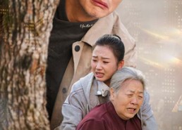 短剧《物是人非事事休（41集）》短剧全集高清免费看