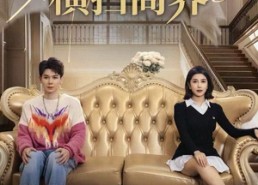 短剧《换嫁后，我和傻总裁横扫商界（62集）》短剧完整版免费在线追