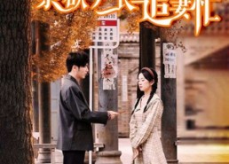 短剧《零娇女一撒娇，禁欲厂长追妻忙（86集）》超长短剧免费在线赏