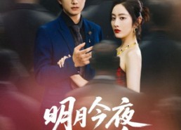 短剧《明月今夜至何乡（70集）》免费短剧完整版在线赏