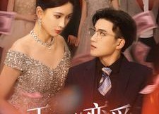 短剧《正方形恋爱（61集）》优质短剧全集免费观