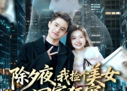 短剧《除夕夜，我捡个美女回家狂宠（80集）》精彩短剧免费全集观