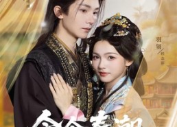 短剧《念念春潮（65集）》爆款短剧全集免费享