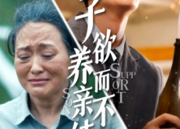 短剧《子欲养而亲不待（42集）》短剧免费全集在线直看