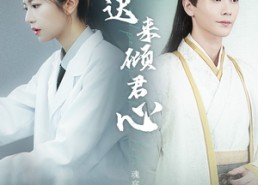 短剧《晚晚迟来倾君心（83集）》短剧高清免费全集看