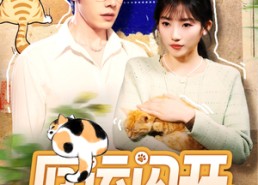 短剧《厄运闪开，幸运猫猫驾到（62集）》热门短剧免费全集观