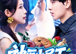 短剧《神医小民工（85集）》短剧全集高清在线播放