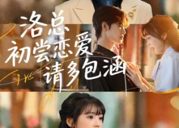 短剧《洛总初尝恋爱请多包涵（72集）》爆款短剧在线流畅播放