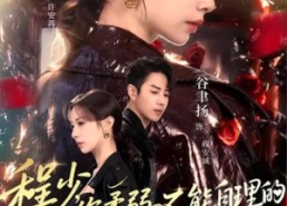 短剧《程少你柔弱不能自理的夫人又打架了（60集）》短剧全集免费在线速赏