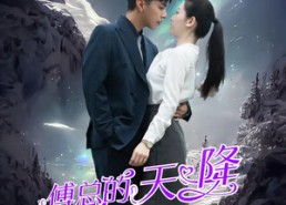 短剧《傅总的天降太子妃（86集）》超火短剧在线览