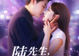 短剧《陆先生，余生不再见（88集）》热门短剧在线免费追