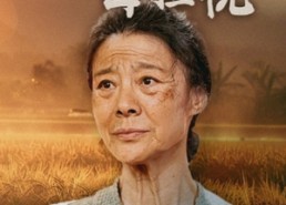 短剧《儿行千里母担忧（52集）》免费短剧全集畅享观看