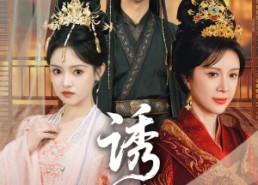 短剧《诱君（64集）》热门短剧免费高清追