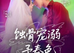 短剧《蚀骨宠湖溺予春色（70集）》爆款短剧免费在线看