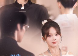 短剧《报告老板夫人她又要打人了（63集）》短剧全集免费畅快观