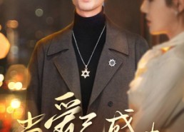 短剧《当爱已成往事（30集）》免费短剧全集尽情观