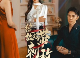 短剧《绽放的带刺玫瑰（48集）》短剧全集免费在线速览