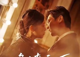 短剧《危墙之下（72集）》高分短剧免费在线追剧