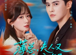 短剧《薄总，夫人又在装乖骗你了（80集）》爆款短剧在线免费看全集