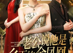 短剧《老公说他是乡下的金凤凰（62集）》短剧免费在线看全集