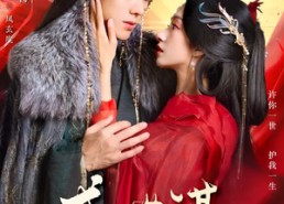 短剧《盛世谋（84集）》热门短剧免费全集畅看