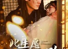 短剧《此生愿与君陌路（100集）》短剧全剧免费在线观