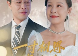 短剧《一寸相思寄玉兰（60集）》短剧完整版免费在线看