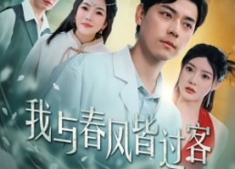 短剧《我与春风皆过客（35集）》短剧高清全集免费速看