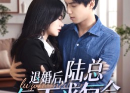 短剧《退婚后，陆总每天求复合（71集）》精彩短剧免费全集赏