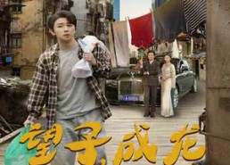 短剧《望子成龙（60集）》短剧60集全集免费在线播