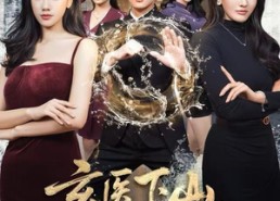 短剧《玄医下山，师娘钦点美娇妻（60集）》短剧全集在线免费畅看