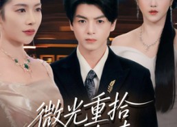 短剧《微光重拾旧年春（80集）》爆款短剧免费高清看