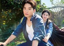 短剧《我在80年代乘风破浪（82集）》免费短剧全集畅享观看