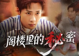 短剧《阁楼里的秘密（76集）》短剧完整版免费畅享