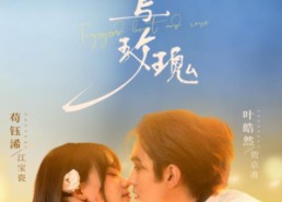 短剧《困兽与玫瑰（90集）》短剧免费全集在线赏