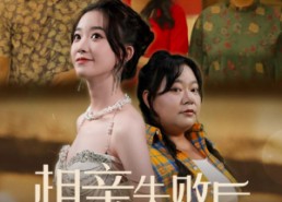 短剧《相亲失败后我与亲戚们断亲（80集）》热门短剧全集在线赏