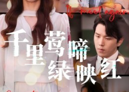 短剧《千里莺啼绿映红（63集）》热门短剧全集免费观