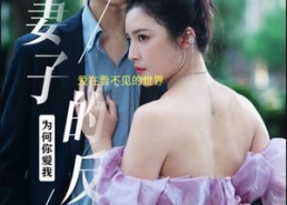 短剧《妻子的反击（38集）》短剧精彩片段免费看